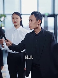第66集 - 替身新娘：陸總的第一寵妻
