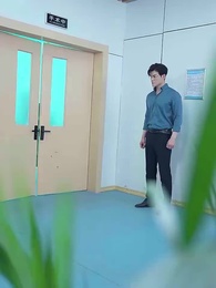 Episode 33 - [Dubbed] A Wife's Vindication