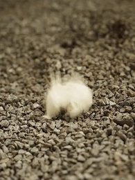 Episode 36 - [Dubbed] Revenge Maid