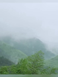 第53集 - 廚娘別跑：王爺放肆寵