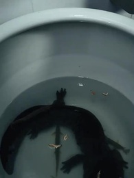 重回2000：風雲再起 - Episode 58