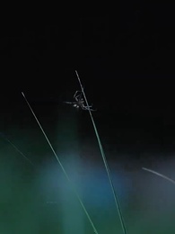 科技：為了上大學，上交可控核聚變 - Episode 68