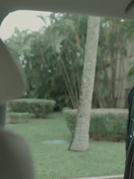 第75集 - 偏執總裁的追妻路