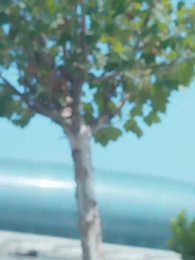 萌寶來襲：特工媽咪不好惹 - Episode 8