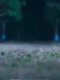 第40集 - 奇門狂少