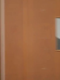 第92集 - 情深意動：傅少寵入骨