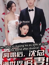 Episode 1 - [Dubbed] The Divorced CEO's Global Quest for Love