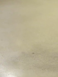 時間管理大師 - Episode 13