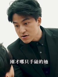 第10集 - 絕世龍帥