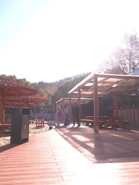 第96集 - 我的白富美老婆