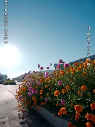 以眼還眼 - Episode 40