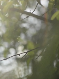 Episode 18 - Stealing My Icey Alpha