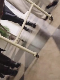 少帥的冷情妻 - Episode 31