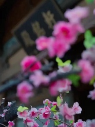 神醫毒妃 - Episode 38