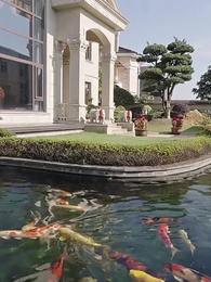 第4集 - 小嬌妻太兇陸爺把持不住了