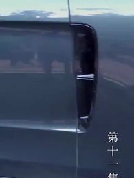 第11集 - 至尊透視神婿