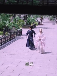 第49集 - 絕世大宋逍遙王