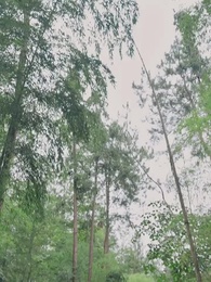 第20集 - 一劍無敵