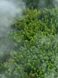 第90集 - 陰陽快遞小哥