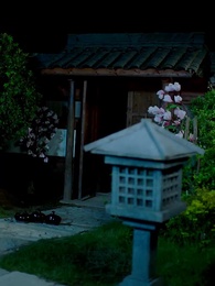 第16集 - 穿越之大小姐的極品家丁