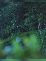 第46集 - 廚娘別跑:王爺放肆寵