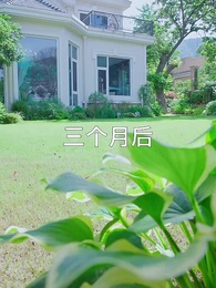 我帶老板去復仇 - Episode 2