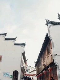 罗叉海柿 - Episode 5