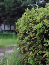 二人探案破原形，一聲醒木天下驚 - Episode 91