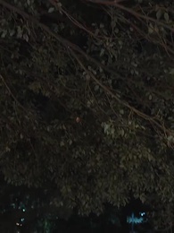 妻子的逆襲 - Episode 50