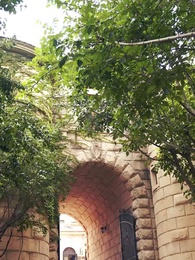 Episode 67 - Mommy, we need daddy