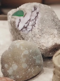 第71集 - 被校花撞飛後，我茍成了世界首富