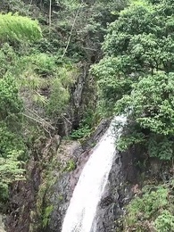 第17集 - 罗叉海柿