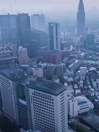 Episode 69 - [Dubbed] Reversal Begins with Marrying a Beauty