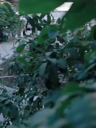 第91集 - 磕的CP殺瘋了