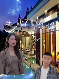 第33集 - 失憶贅婿