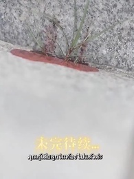 ตอนที่ 9 - [พากย์ไทย]รักใคร่เสน่หา:มิสเตอร์ฟู่เป็นที่รักถึงแก่นแท้