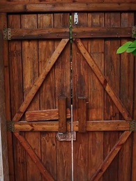 第83集 - 逃婚大小姐的極品保安