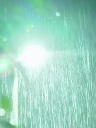 第71集 - 陸太太她是個烏鴉嘴