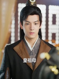 第46集 - 神醫毒妃