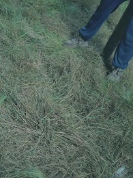 第15集 - 罗叉海柿