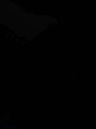 Episode 66 - [Dubbed] Ex-Wife's Allure: Mr. Fu Goes Wild Chasing