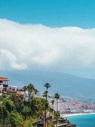 Episode 59 - Billionaire's Abused Lover