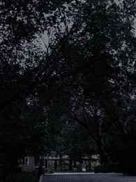 Episode 66 - Mommy, we need daddy