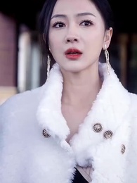 Episode 48 - [Dubbed] Brace Up for Divorce, Mr. Li: A Tale of Resilience