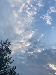 掘金人生 - Episode 31