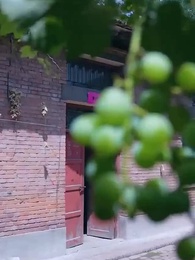 第64集 - 重生1984當首富