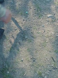 罗叉海柿 - Episode 77