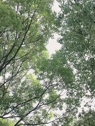 絕品贅婿 - Episode 66