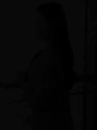 都市最強狂兵 - Episode 53