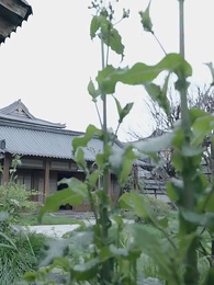 Episode 53 - [Dubbed] Time-Traveling Eunuch